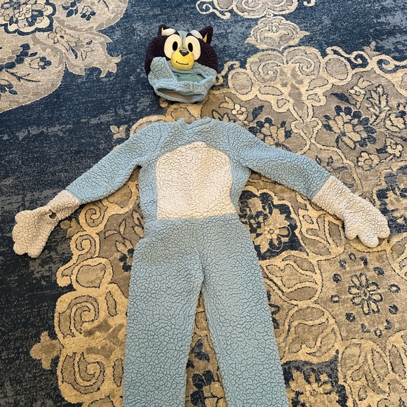 Bluey Costume for 5/6 year old - Picture 2 of 6